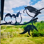 Metalbird
staartmees
met jong